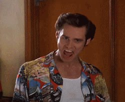 Any 'Ace Ventura' fans here? (side note, I can hear this gif) | No Film School