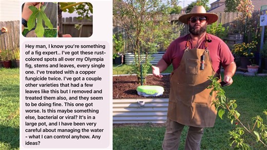 14 reactions | Fig Rust, Bougainvillea Blooms & Growing Giant Crepe Myrtles! | The Texas Garden Guy Show Ep. 102 | Texas Garden Guy | Facebook