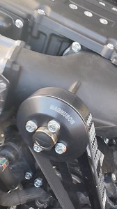 Rogue Offroad on Reels