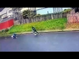 Elderly Daly City Asian Woman Robbed in Assault Caught on Camera