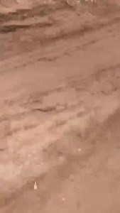 1.2K views · 21 reactions | #Winnam Possible reasons: 1. Foundation Failure. 2. Poor Construction Practices. 3. Material Deficiencies. 4. Design Flaws. ©Engr Chief Winna'amzua | Mahmud Mohammed-Nurudeen | Facebook