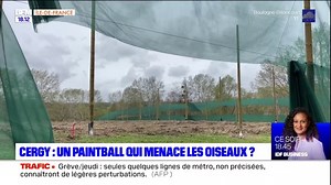 Une nouvelle zone de paintball à la base de loisirs de Cergy est décriée par des associations | BFM Paris Île-de-France