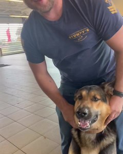 Who is at Toyota of Murfreesboro today? Meet Jacob and Ryker!!! It was a pleasure serving this Veteran, local businessman, and especially his awesome service dog Ryker!!! #dogsoftoyota #stumpeater #arborist #toyotaservice | Toyota of Murfreesboro