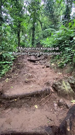 Sikilku ndrodok#fyp #curugpenganten #semuaorang #banyumas #baturaden