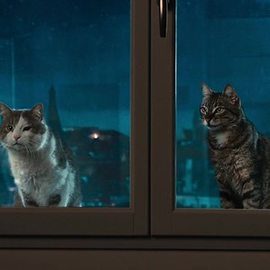 454K views | Orange on Reels | Facebook