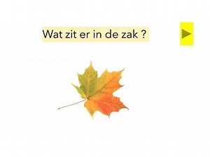 Wat Zit Er In De Zak?