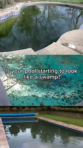 IG: @splashpoolandspa | Visalia Stringer