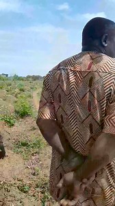 1.4K views · 21 reactions | TRACTOR OPERATION AS PART OF THE FARM...