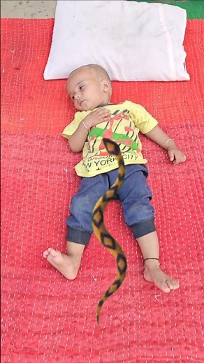 sun kaike angana hamar 😭 #shorts #shortvideo #status #viralshorts #viralvideo