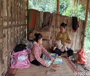 83K views · 1.5K reactions | You Working SO HARD Single Mother and orphan girl start building life in new place . . . . . . . . . #BOOMChallenge #singlemother #reelsfb #fyp #singlemom #singlemomlife #harvesting #homeless #survival #baby #foryou #love | Speedshow | Facebook