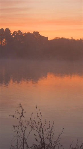 😍 What a view! The sun rising and the fish showing! 🐬 #AnglingDirect #CarpFishing #Carp #Sunrise | Angling Direct