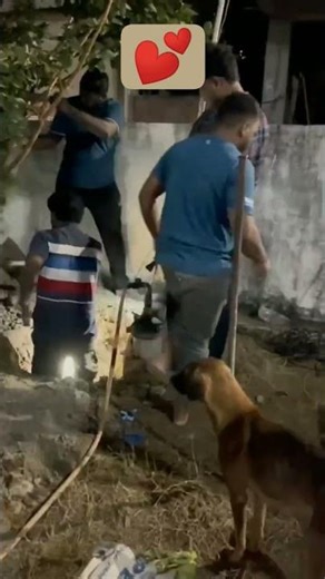 Two puppies in borewell || H iFriends and familyPleaseOne repost, One support