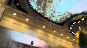 1.1K reactions | Journey From Delhi To Singapore✈️ Itna Sundar Airport and Room Tour | Rohan Lifts | Facebook