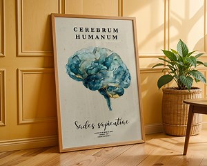 Abstract Brain Anatomy Art Poster – Neuroscience Wall Decor, Medical Poster (digital Download) - Etsy Canada