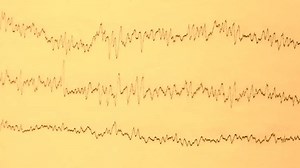 Seismograph Record Earthquake On Old Paper Stock Footage Video (100% Royalty-free) 3570845267 | Shutterstock
