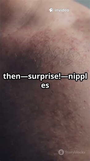 Why Do Men Have Nipples? The Scientific Reason Explained