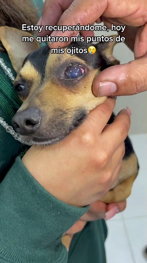 #recuperandome #lufi #fyp