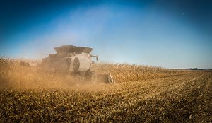 Clean Grain, Clean Fields with a Gleaner S98