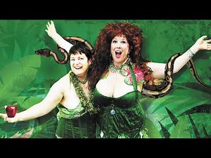 What is Feminist Research Series with Anne Sprinkles and Beth Stephens