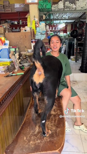 Exploring Tari Janger: Traditions and Dance