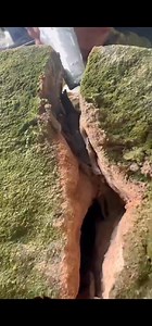 Archi Republic: Stop Roof & Tile Leaks Fast — Works in Any Weather! � #DIYHomeFix#ArchiRepublic#CrackSealant#LeakRepair#Waterproofing | archi.vibe5