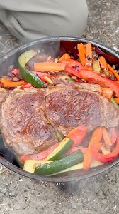 3.8K views · 98 reactions | Bushcraft Dinner ~ Stir Fry  | Firebox Stove | Facebook