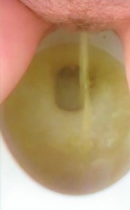 Close up on cute teen on the potty going tinkle