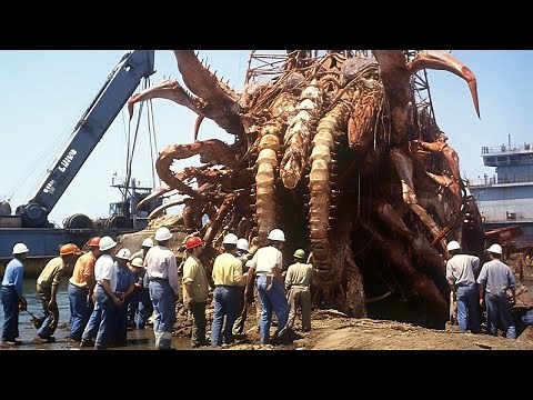 15 Natural Phenomena So Weird, They Might Just Be From Another Planet