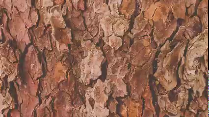 Achieve a highly realistic look by adding depth and structure to any surface. There is a very effective and easy way to do this within Vectary. Simply upload a 2D image and Vectary will convert it into a detailed surface material. | VECTARY