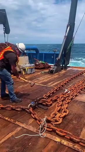 North Sea Sailing: Real Moments from Ship Life