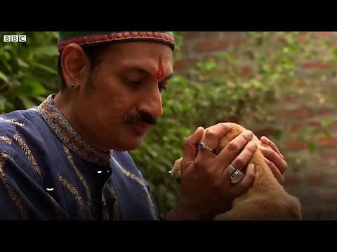 India's gay prince opens his palace for LGBT community- BBC News