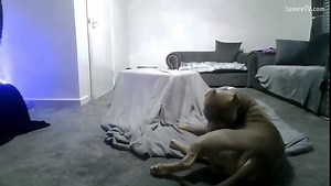 Dog Whores 9