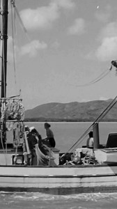 Produced by and starring Chips Rafferty, 'King of the Coral Sea' (1954) is a romantic action-packed adventure co-stars beloved actor Charles ‘Bud’ Tingwell and marks the film debut of future Hollywood star Rod Taylor. | NFSA - National Film and Sound Archive of Australia