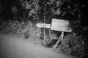 15 reactions | 128th EVACUATION HOSPITAL and OMAHA BEACH JUNE 1944 | Women during ww2 | Facebook