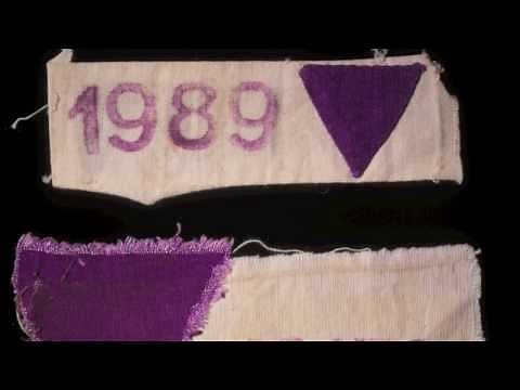 The Nazi Persecution of Jehovah's Witnesses: The Kusserow Collection (Curators Corner #21)