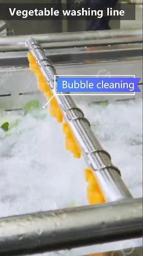 Industrial Vegetable Washing Machine