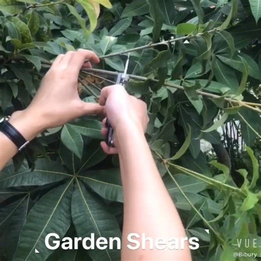 Watch Bibury Gardening Hand Pruners, 5 in 1 Multitools Folding Scissors 420 Stainless Steel Pruning She... on Amazon Live