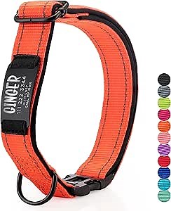 UPDATED - Personalized Dog Collar and Engraved Nameplate ID Tag, Reflective Nylon Dog Collar, Customizable in 11 Colors, 4 Adjustable Sizes, 16 Fonts, Dog Collar for Large, Small, Medium Dogs - Orange