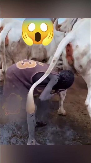 #1 90 Moments Incroyables et Chutes Drôles : Unbelievable Fails and Epic Moments! | Laugh