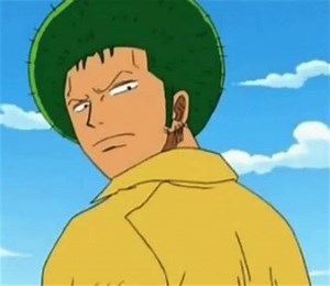 Zoro One Piece Zoro Marimo Meme – Zoro One Piece Zoro Marimo Zoro Nothing Happened – otkrijte i dijelite GIF-ove