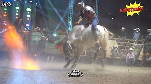 9.1K views · 231 reactions | Jaripeo por $200,000 las mejores montas y toros de la región de Oaxaca #Jaripeo #Toros #Oaxaca | Oaxacorridos | Facebook