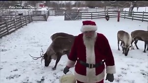 Reindeer Cam livestreams Santa’s little helpers