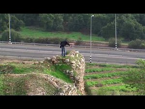 Charlie Bit My Finger - The MOVIE!