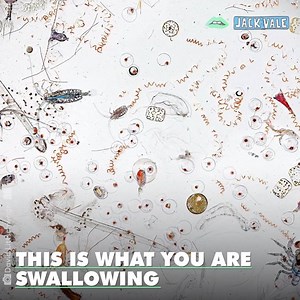 Remember this the next time you swallow a mouthful of sea water at the beach... 👀 Via Nameless.tv | Scott Disick