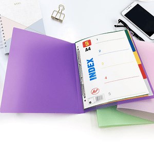 [Hot Item] Sturdy PP Paper A4 File Folder with Premium Plastic and Clip Design