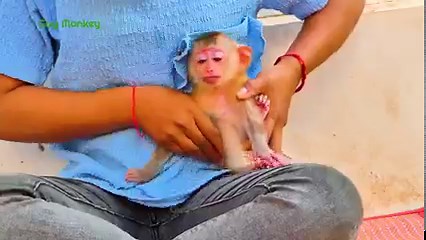 Morning Routine!! Very Healthy Baby Jina Morning Cleaning So Hygienic!!. | Gug Monkey