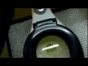 GAYPENLS AT THE TOILET