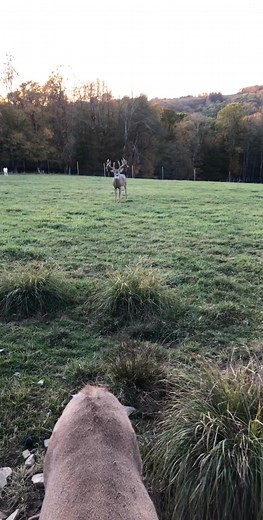 Derek Delaney on TikTok