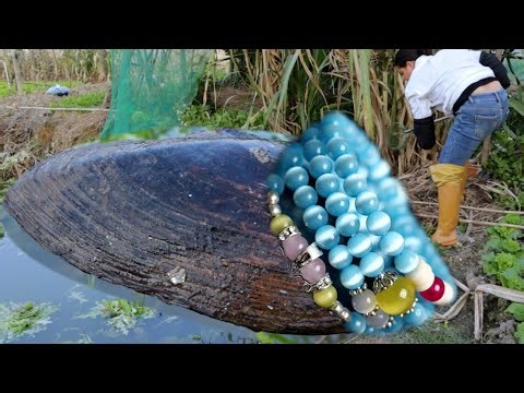 Girl randomly excavates treasures in deep pool: giant clam shells among priceless treasures