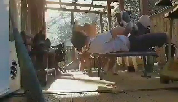 wild dog sex: extreme animal porn videos